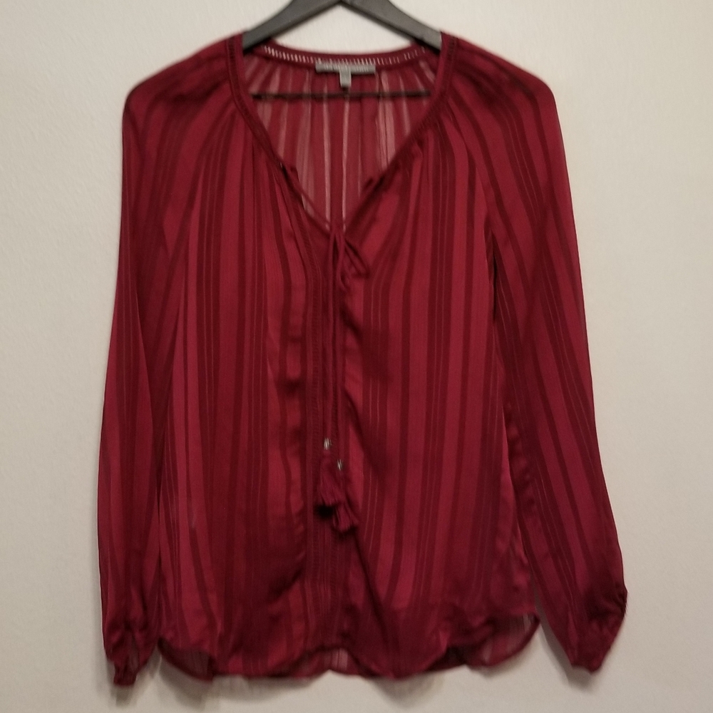 Daniel Rainn Burgundy Striped Long Sleeve Blouse